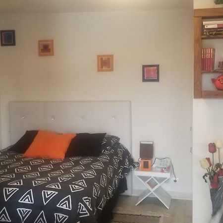 Studio 1 Apartment Saint-Martin-la-Plaine Bagian luar foto