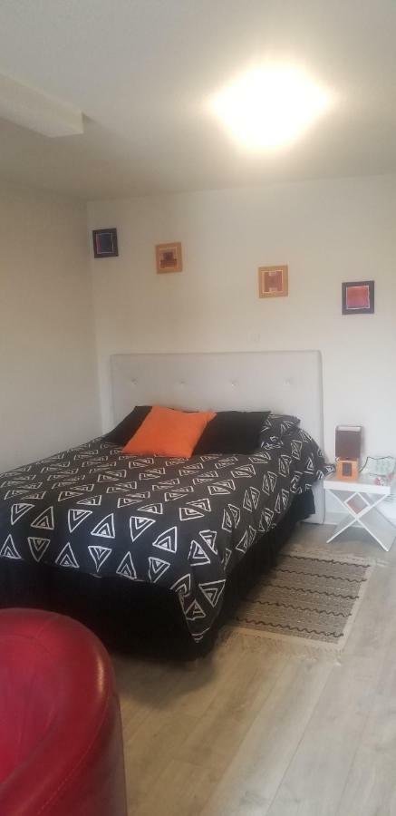 Studio 1 Apartment Saint-Martin-la-Plaine Bagian luar foto