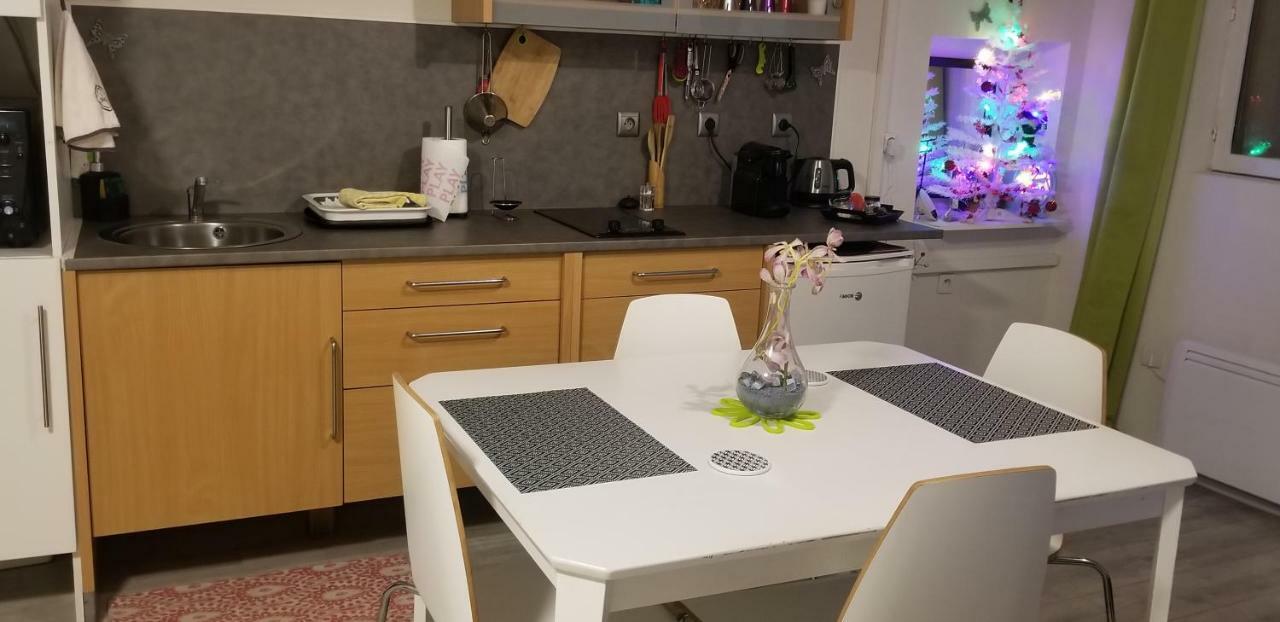 Studio 1 Apartment Saint-Martin-la-Plaine Bagian luar foto
